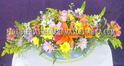 Tributos 14