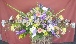 Tributos 11