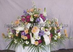 Tributos 16