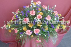 Tributos 12