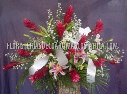 Tributos 13