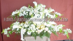 Tributos 3