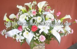 Tributos 2