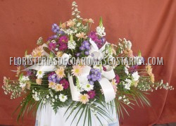 Tributos 9