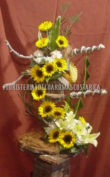 Arreglos de Flores Floristeria Decoaromas Costa Rica